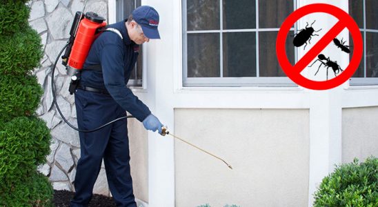 Pazarlar Tahtakurusu İlaçlama böcek ilaçlama ve haşere kontrolü — ilaclama-tr.com